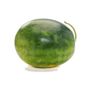 watermelon-yypy-360x360-1.jpg